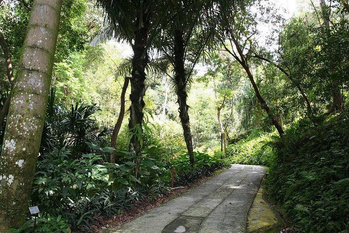 Malaysia: Penang Tropical Spice Garden Guided Tours Tickets