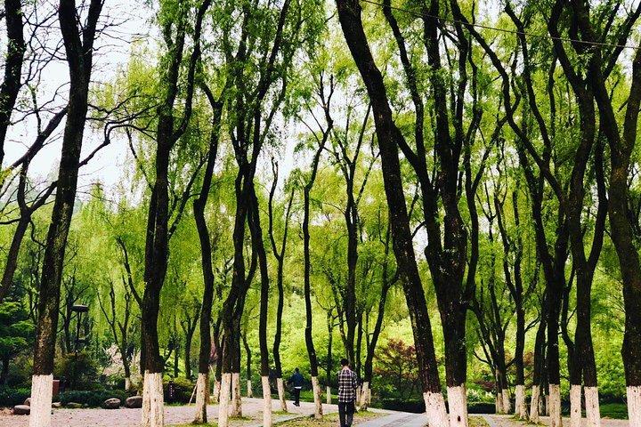 Hangzhou Highlights Private Day Tour with West Lake Boat Ride from Shanghai