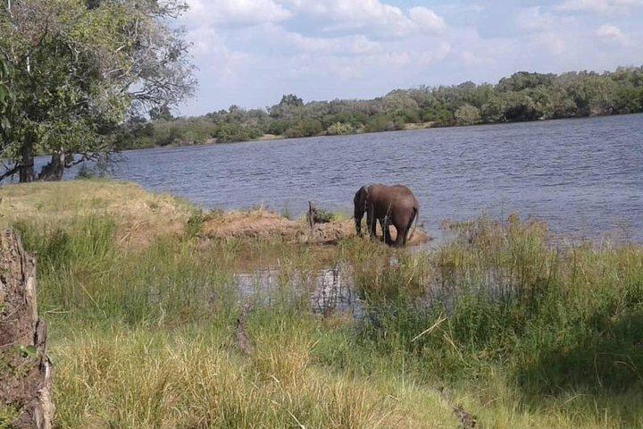 Chobe Safari Day Trip From Livingstone