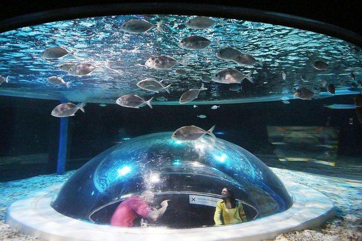 AquaRio Small Group Guided Tour with entrance and transfer