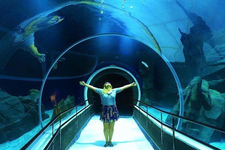 AquaRio Small Group Guided Tour with entrance and transfer