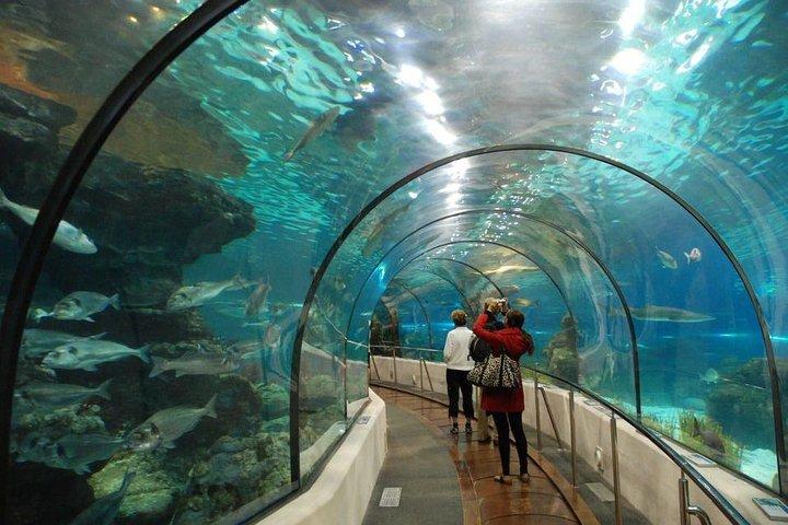 AquaRio Small Group Guided Tour with entrance and transfer