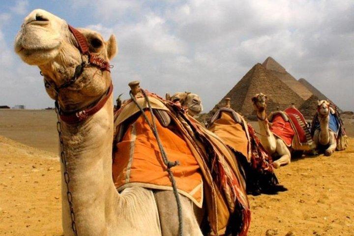 6 Hours visit to Giza pyramids sphinx and Sakkara