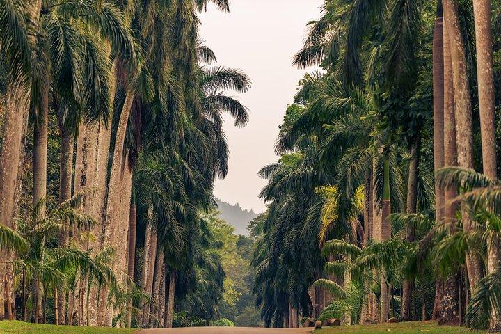 Culture of the Hills Tour from Galle (2 Days)