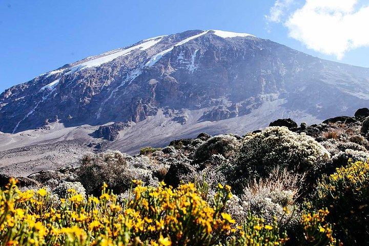 6 Days Machame Route - Climb Mount Kilimanjaro