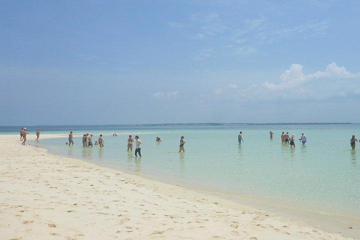 Kwale Island Dhow Sailing Tour from Zanzibar with Seafood Lunch