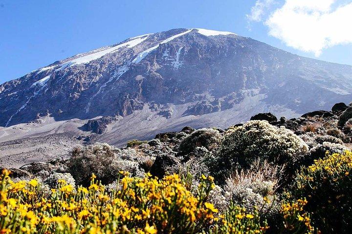 6 Days Umbwe Route - Mount Kilimanjaro