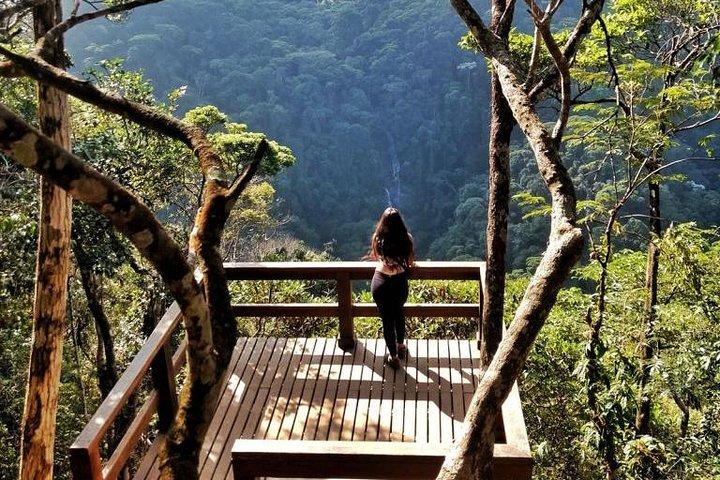 Tijuca National Park and Botanic Garden Guided Tour & Transfer