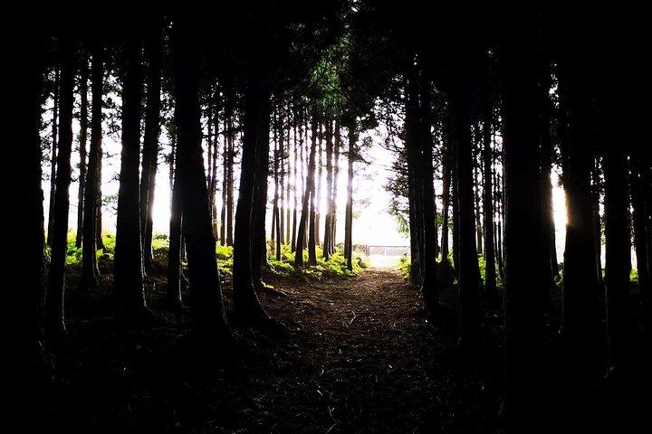Terceira Island Private Tour: Full-Day
