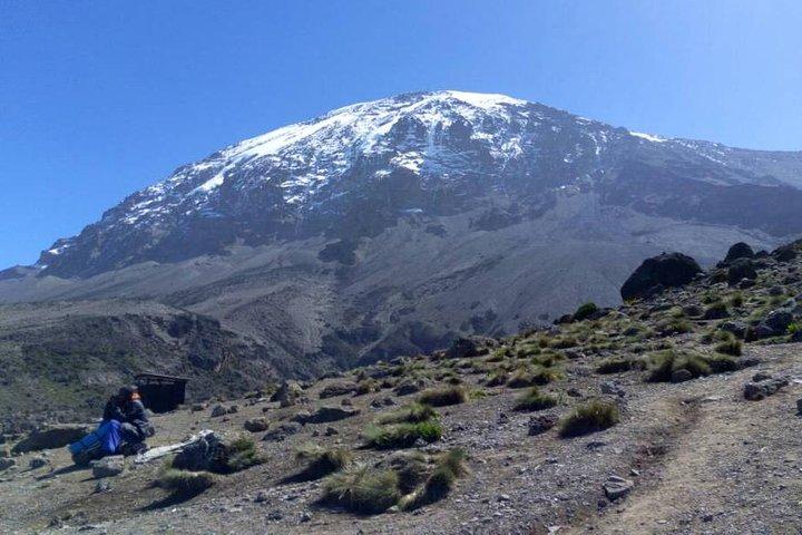 7 days Lemosho route