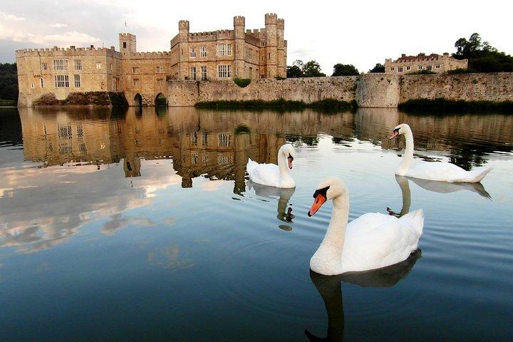 Leeds Castle, Canterbury, Dover & Greenwich Cruise from London