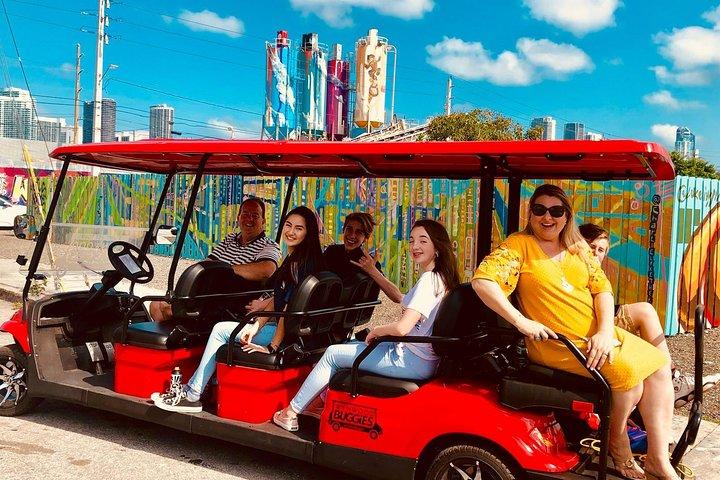 1 Hour WYNWOOD BUGGIES tour