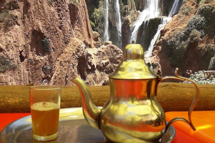 Ouzoud Waterfalls: Private or Small-Group daytrip from Marrakech