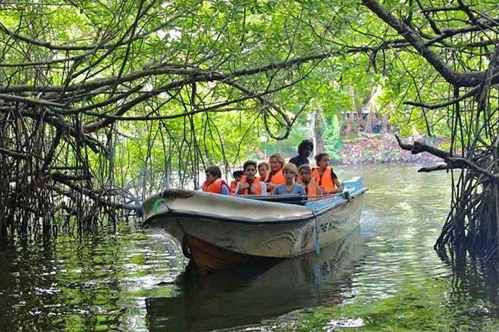 Lagoon Escapes Negombo Day Trip