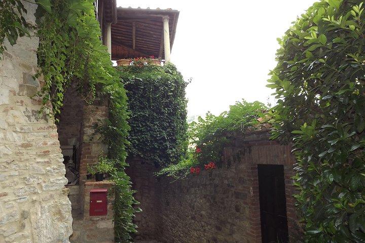 Villages of Chianti with lunch and tasting in Open Top Van