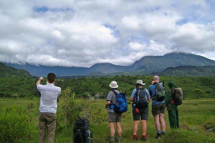 Arusha National Park Game drive and Walking Safari Day Tour