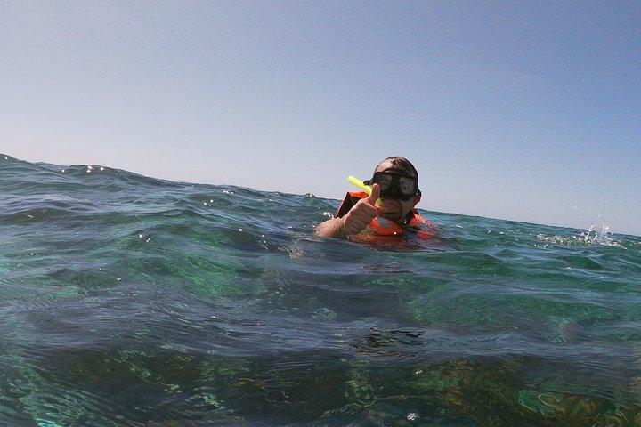 Reef Snorkel in Puerto Morelos With Lunch And Transportation