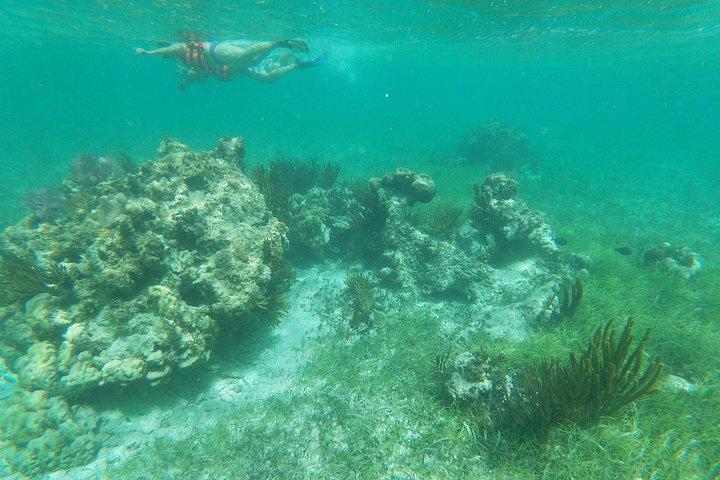 Reef Snorkel adventure in Puerto Morelos With Transport & Lunch