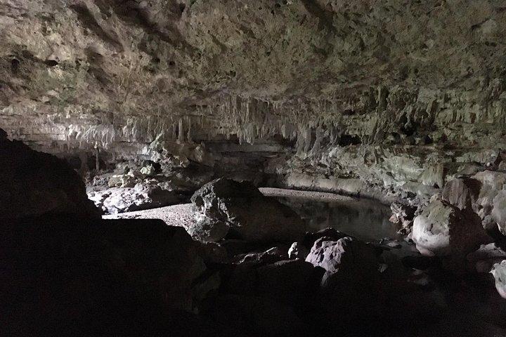 Small group Caracol Tour from San Ignacio