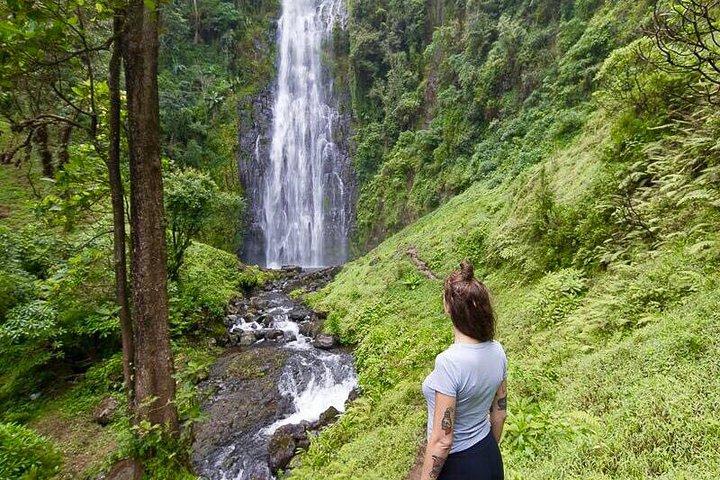 Day Trip Coffee Tour and Materuni Waterfalls