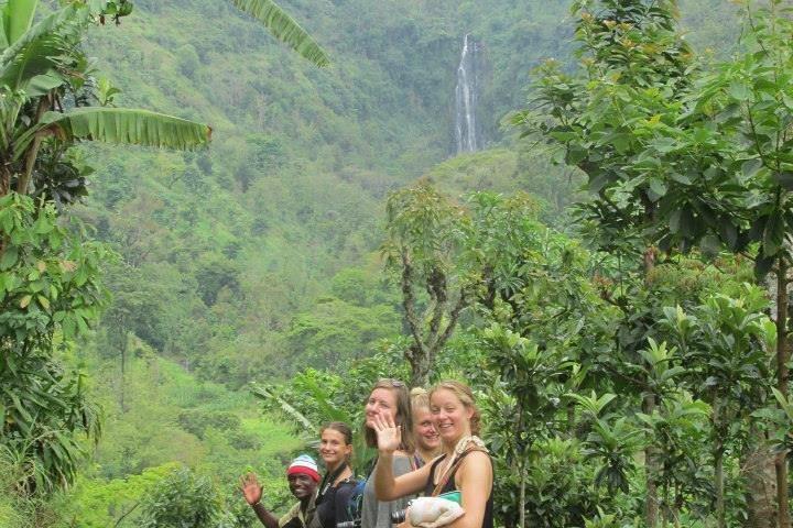 Day Trip Coffee Tour and Materuni Waterfalls