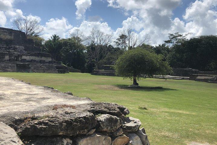 Altun Ha Mayan Ruins & Zipline Tour from Belize City All Inclusive