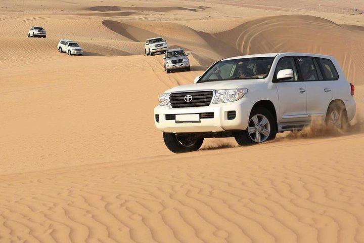 PRIVATE Red Dune Desert Safari, BBQ Dinner, Camel Ride & Falcon Photo
