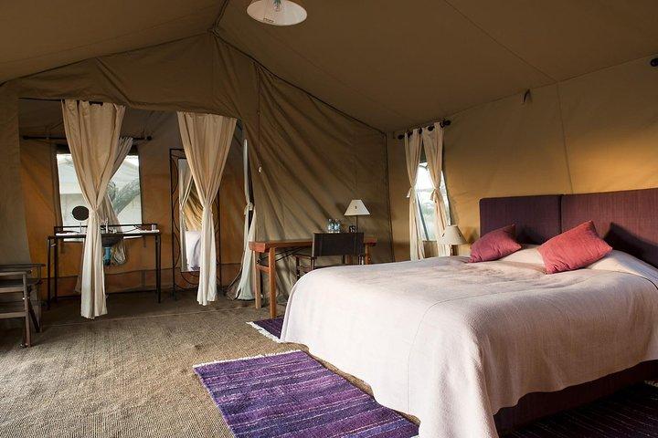 5 Days 4 Nights Tarangire, Serengeti , Ngorongoro & Manyara Wildlife Safari
