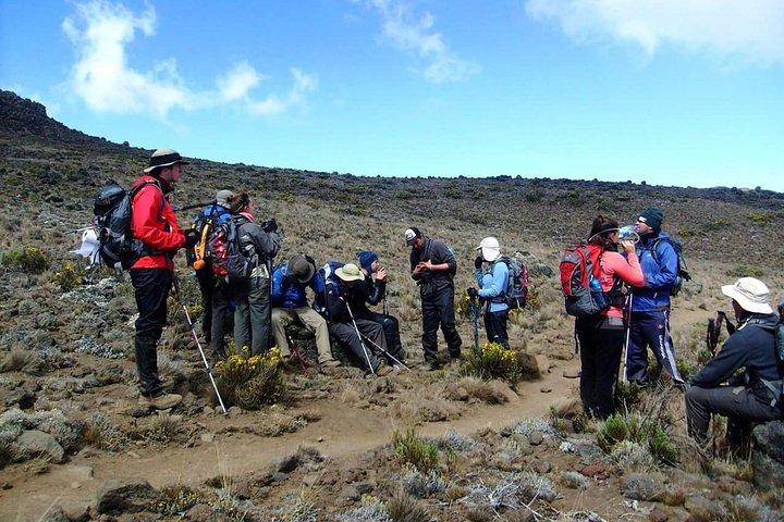 Machame Route 6 days 5 Nights/Kilimanjaro Climb