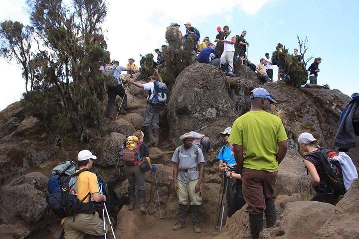 Machame Route 6 days 5 Nights/Kilimanjaro Climb