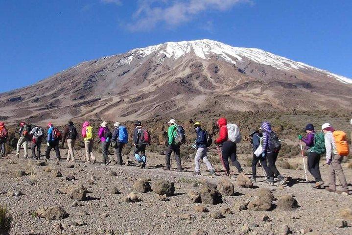 Machame Route 6 days 5 Nights/Kilimanjaro Climb
