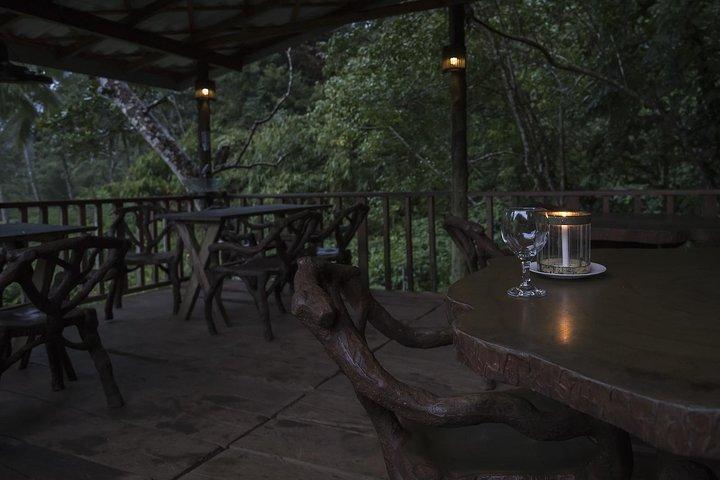 Sinharaja' rainforest - Discovery Tour (half day)