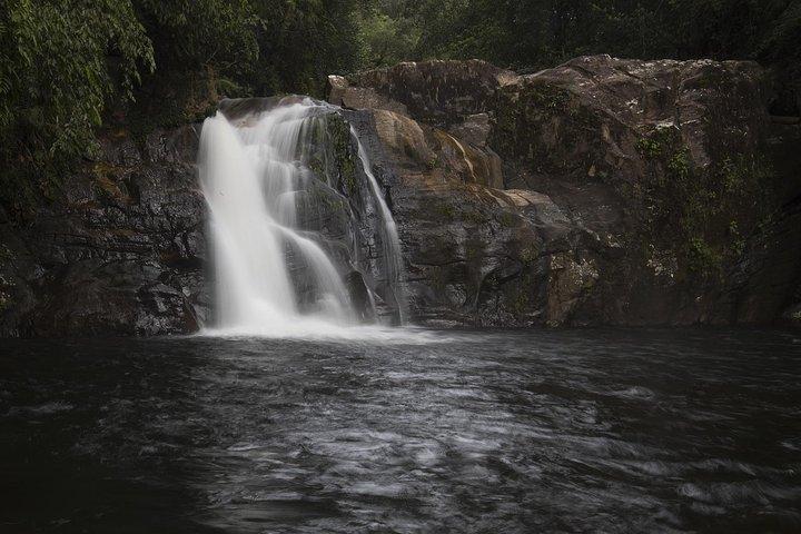 Sinharaja' rainforest - Discovery Tour (half day)