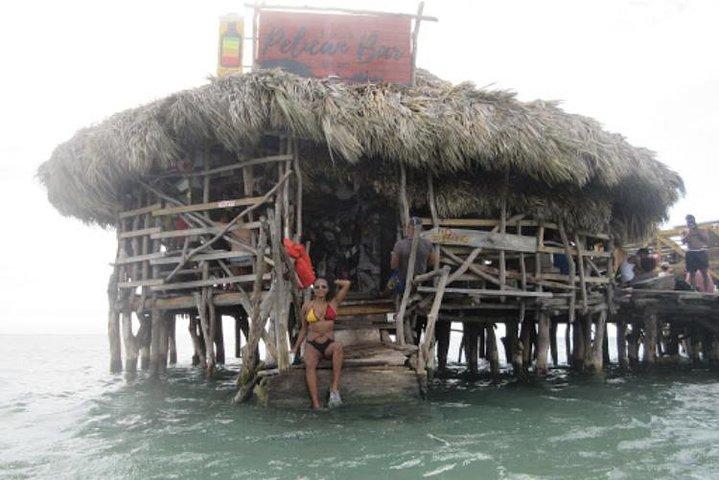 Appleton Estate Rum, YS Falls, Black River Safari / Floyd's Pelican Bar Tour