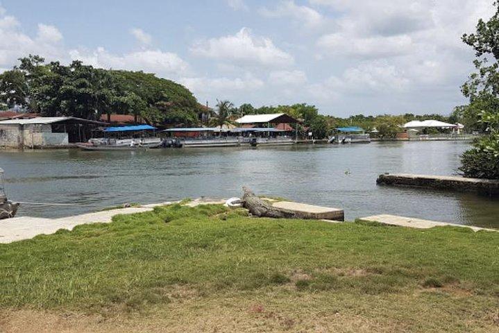 Appleton Estate Rum, YS Falls, Black River Safari / Floyd's Pelican Bar Tour