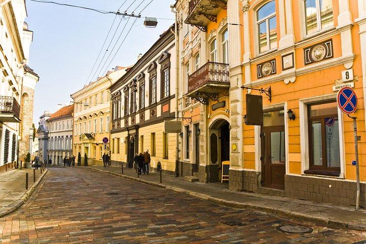 Private Half Day Tour of Vilnius Highlights by Minivan