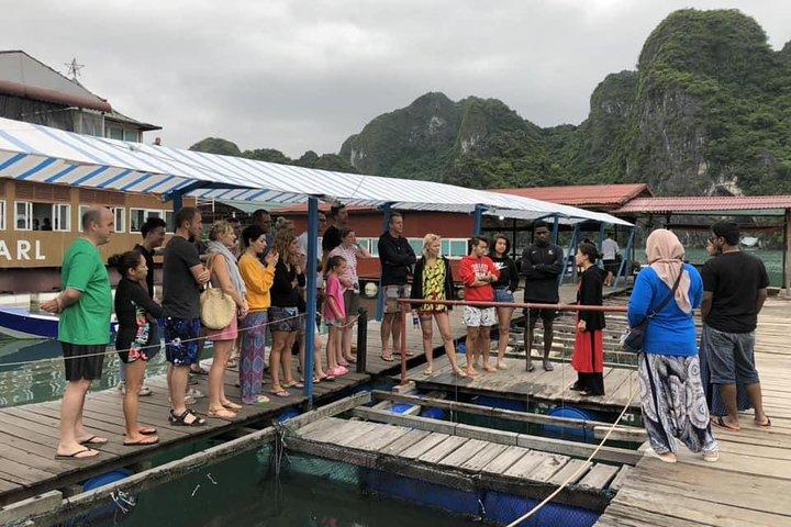 3-Day Cruise to Explore Lan Ha Bay & Ha Long Bay with Kayaking, Swimming...