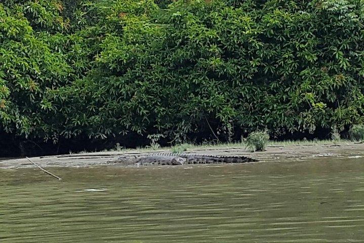 Bandar Highlight, Water Village & Proboscis Monkey Tour (Private)
