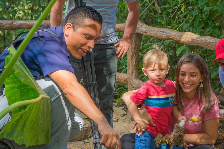 Sloth Watching Tour Experience Costa Rica