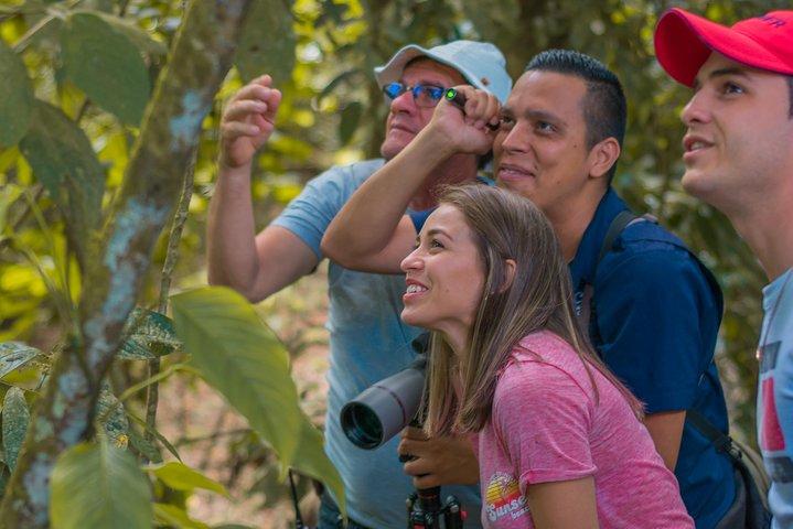 Sloth Watching Tour Experience Costa Rica