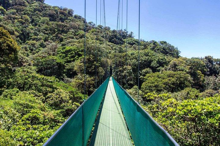 Monteverde Sky Tram & Hanging Bridges Cloud Forest Tour from San Jose