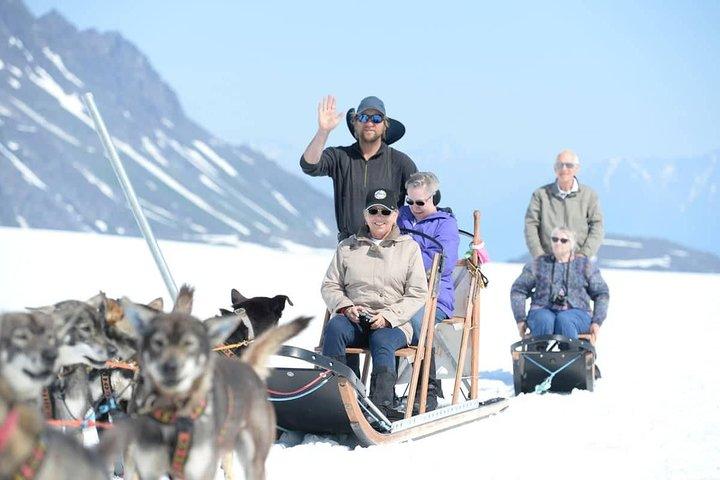 Helicopter Glacier Dogsled + Knik Glacier Landing- Anchorage Area