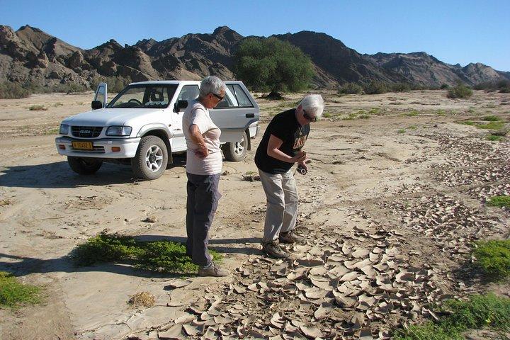 NAMIB DESERT TOURS, Full-Day and Half-Day Tours from Swakopmund, Namibia