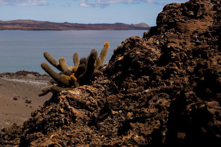 Day Trip to Bartolome Island from Puerto Ayora