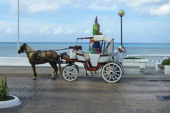 Cozumel Adventure