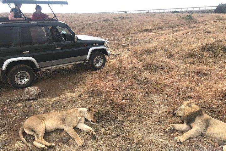 Early Morning Group Joining Mini Safari To Nairobi National Park