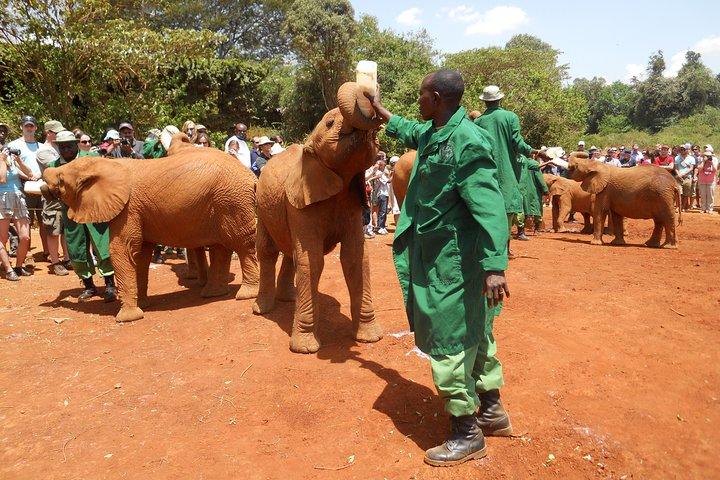 Giraffe center, Elephant Orphanage and Beads Center