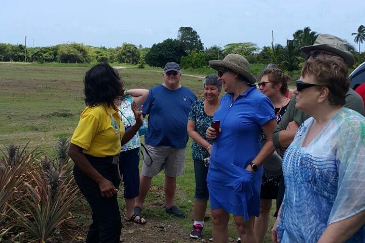 Cultural and Historical Home Tour in The Antiguan Experience