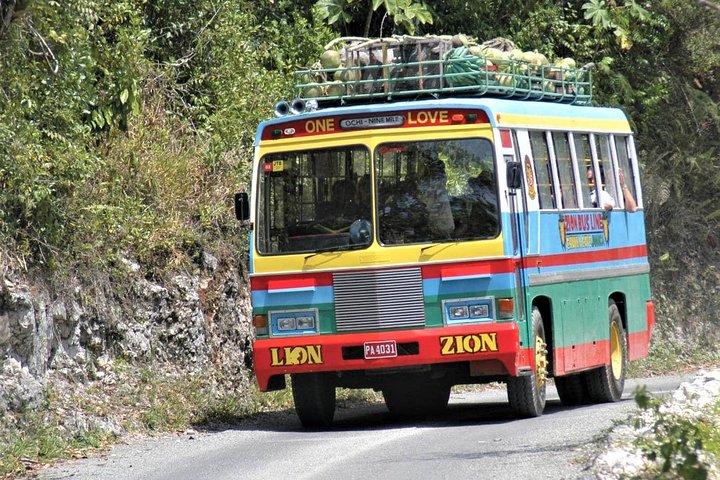 Bob Marley's Nine Mile Day-Trip with Admission & Guided Tour from Runaway Bay
