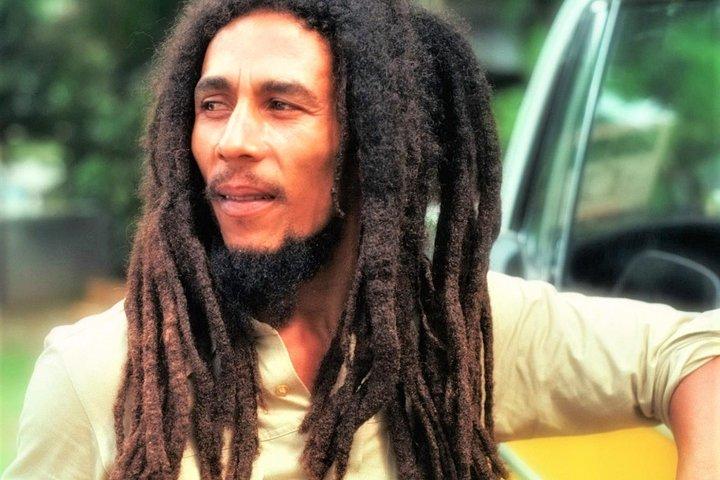 Bob Marley's Nine Mile Day-Trip with Admission & Guided Tour from Runaway Bay